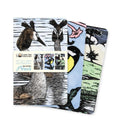 Set of three notebooks with bird illustrations on a white background